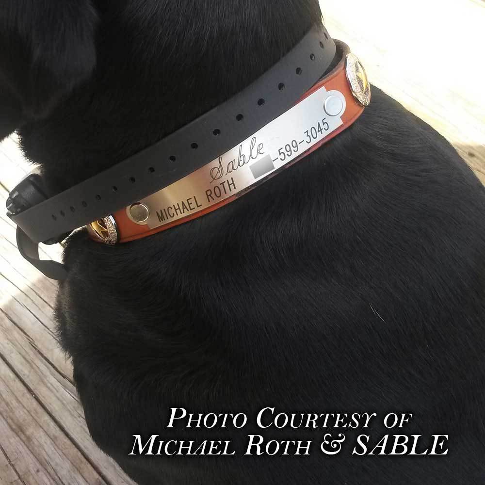Engraved DOG COLLAR NAME PLATE LARGE 4 1/2" x 3/4" starting at