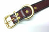 Leather Dog Collar With Engraved Brass Name Plate