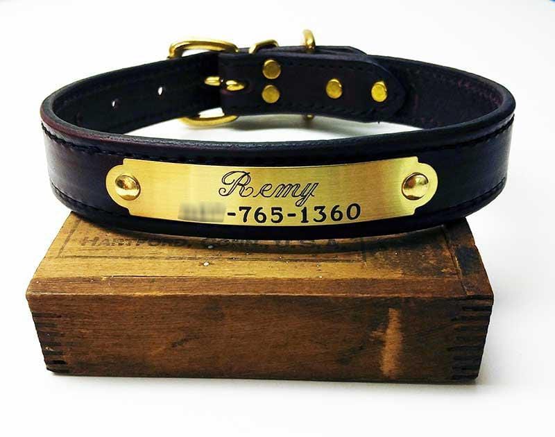 Personalized Leather Dog Collars