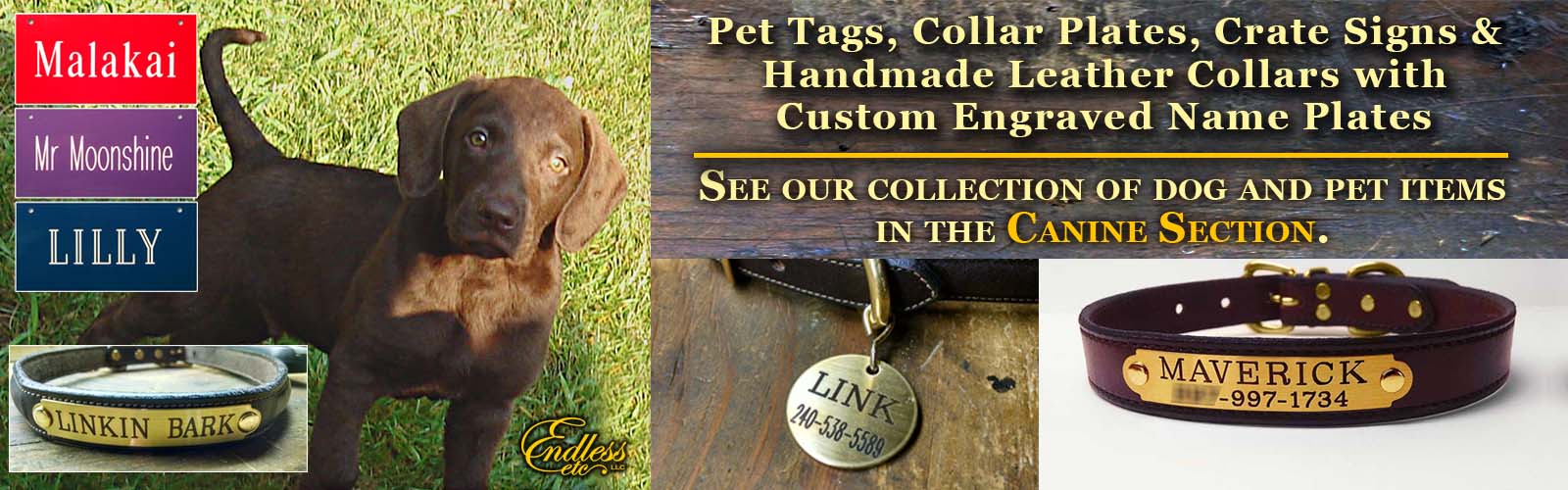 engraved collar and pet tags