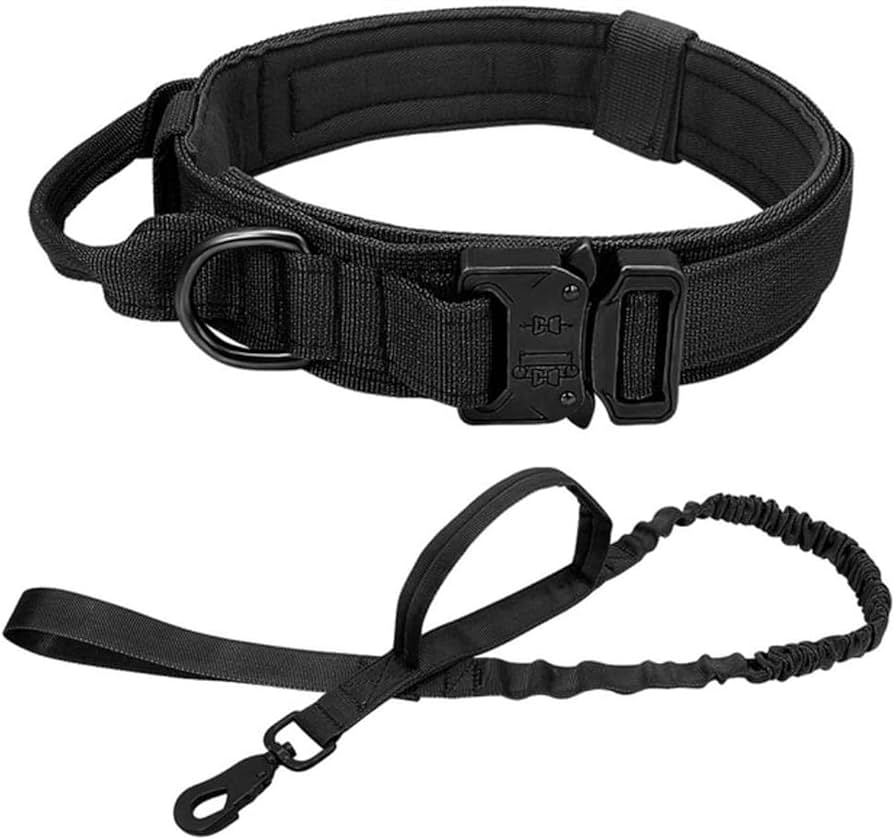 Safety First: How Tactical Dog Collars Enhance Canine Security