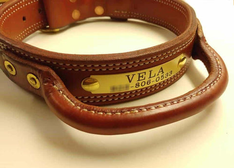 Collar with Roller Buckle And Nickel Hardware Color: Orange