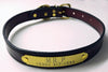 Leather Dog Collar 3/4" with engraved name plate