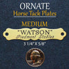 Medium HALTER or Large SADDLE Plate ORNATE Thick Fancy Solid Brass or Solid Nickel Silver Custom Engraved starting  at