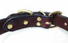 Leather Dog Collar With Brass Plate