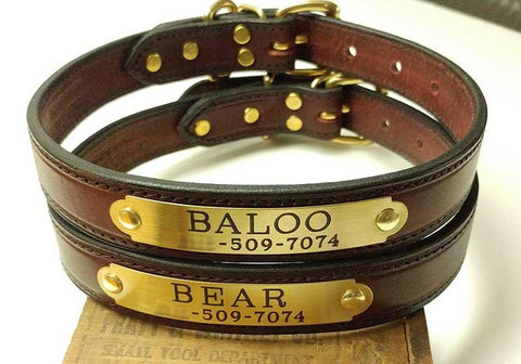 Buckle Leather Dog Collar With Metal Nameplate Bridle Or Saddle